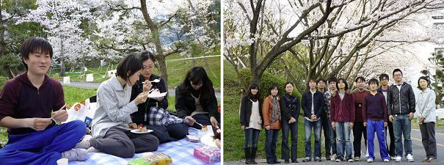 恒例！のお花見会